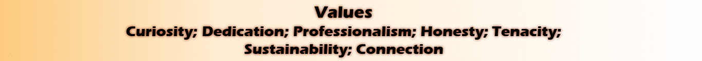 Values